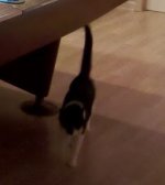 IMG_20101215_233825.jpg