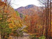 grahamcounty_land02[1].jpg
