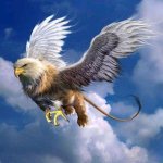grif[1].jpg