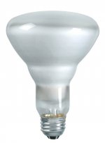 Bulb2.JPG