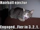 hairball.jpg