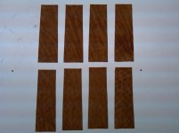 elephant ear 1-8 02-01-11.jpg elephant ear 1-8 02-01-11.jpg