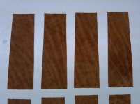 elephant 1-4 02-01-11.jpg elephant 1-4 02-01-11.jpg