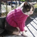sweater.jpg