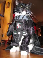 darth-vader-cat.jpg
