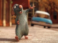 1280_rat[1].jpg