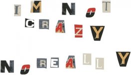 im not crazy.jpg