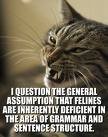 cat grammar.jpg