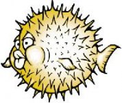 blowfish-notext.jpg