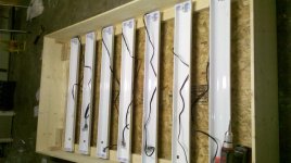 2011-04-04_00-36-53_123.jpg