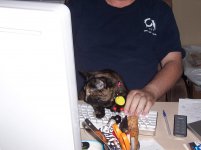 2011 misc 029.jpg