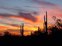 ArizonaSunset[1].jpg