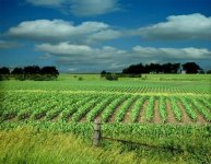 Iowa.JPG