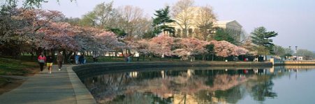 DC Tidal Basin.jpg