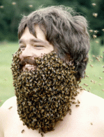 beekeeper.gif
