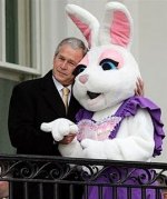 bunny fetish.jpg