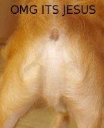 omg-its-jesus.jpg