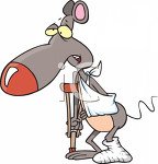 1417_picture_of_an_injured_rat_in_a_sling_and_using_a_crutch.jpg