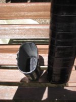 IMG_1349.jpg