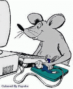 pic00053.gif