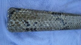 DSC00850.jpg