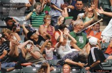 funny-sports-moments-not-the-face.jpg