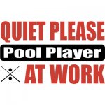 quiet_please_pool_player_at_work_photosculpture-p1535496541118122403s98_400[1].jpg