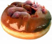 rat fetus donut.jpg