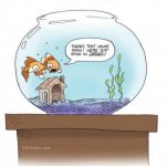 fish-bowl1.jpg