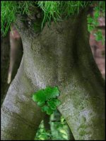 Eroticism_20in_20Nature.jpg