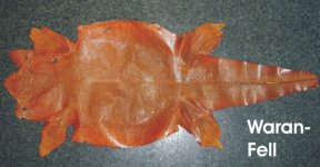 Waran2_i.jpg