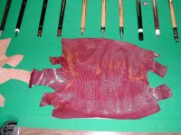 All cue pics 029.jpg