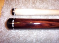 100_1516 (Medium) (Small).JPG