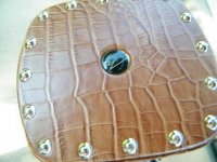 Case pictures and misc. Aug '11 039.JPG