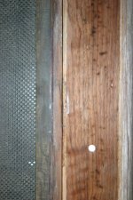 IMG_8466.jpg