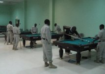 playing-pool[1].jpg
