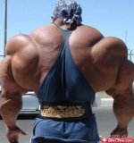 body-builder-0.jpg