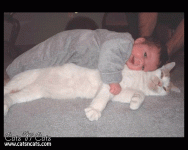 white-cat-sleeping-with-baby.gif