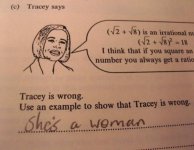 shesawomanwi7.jpg