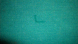GEDC0087.gif