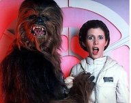 wookie.jpg