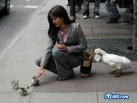 smartduck.jpg