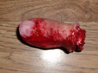 Thumb 1.jpg