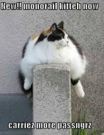 supersize-monorail-cat.jpg