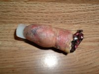 More fingers 012.JPG