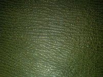 sharkskin grn. closeup July '11.jpg sharkskin grn. closeup July '11.jpg