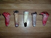 More fingers 003.jpg