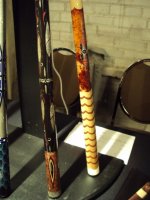 florida vacation 323.jpg