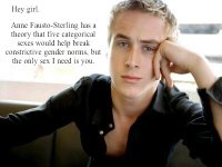 gosling2.jpg