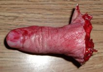 More fingers 031.JPG